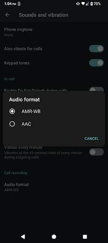 5 Audio Format