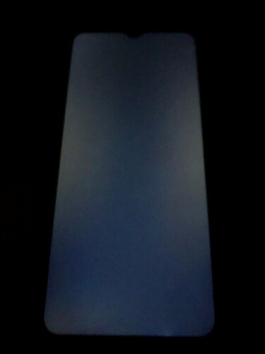 image3 (1)