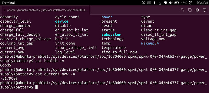 cat-screenshot
