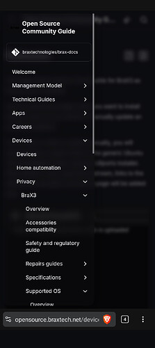 BraX-Web-screenshot